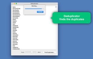 Deduplicator screenshot 1