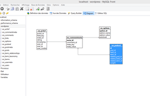 MySQL-Front screenshot 2