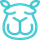Content Camel icon