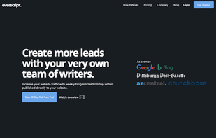 Everscript screenshot 1