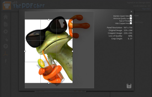 The PDF Chef image editor suggests an intelligent crop for a picture panel when an image doesn't fit correctly.