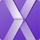 Xara Web Designer icon
