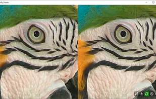 Butterfly Viewer screenshot 1