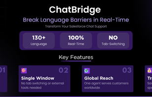 ChatBridge - Salesforce Chat Translator