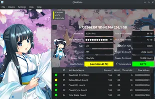 QDiskInfo screenshot 1