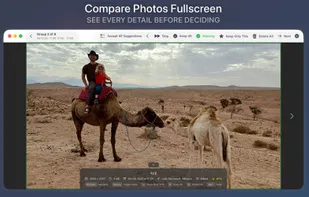 Zoom in for more detail.