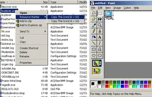 Boilsoft Resource Hunter screenshot 1
