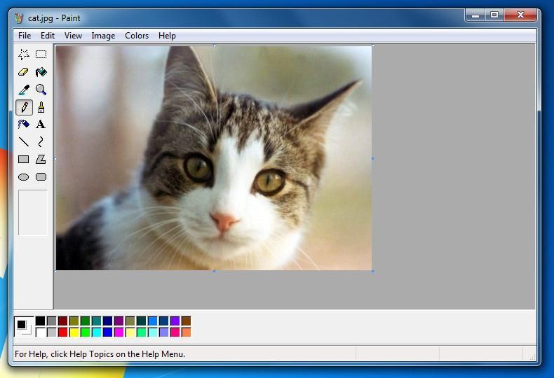 paint xp for windows 7        
        <figure class=