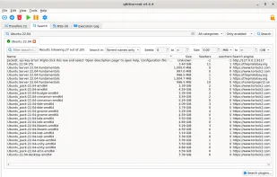 qBittorrent screenshot 3