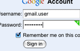 Step 3 Your password is generated and populated.