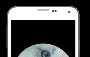 Rando 4Me screenshot 1