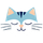 momo.coach icon