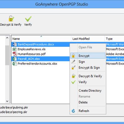 GoAnywhere OpenPGP Studio Alternatives and Similar Software | AlternativeTo