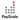PayScale icon