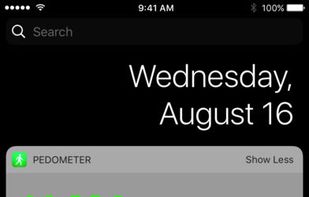 Pedometer++ screenshot 2