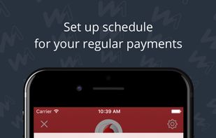 Wallet One screenshot 2