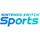 Nintendo Switch Sports icon