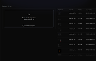 The file host page supports e2ee or zero-knowledge encryption for file uploading, supports all file types.