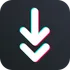 DW Free TikTok Downloader icon