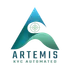 Artemis KYC icon