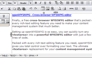 openWYSIWYG screenshot 1
