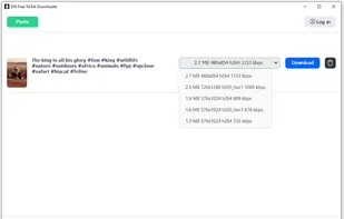 DW Free TikTok Downloader screenshot 1