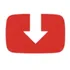 YTShortsDL icon
