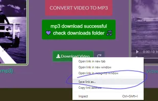 IgMp3 - Instagram Mp3 Converter screenshot 3