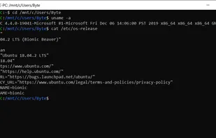 Windows Subsystem for Linux screenshot 1