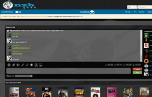 NZBgeek screenshot 1