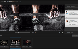 ConceptShare screenshot 3