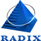 Radixweb Microservice Boilerplate icon
