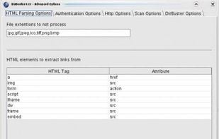 DirBuster screenshot 1
