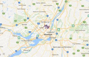 PokeFind screenshot 1