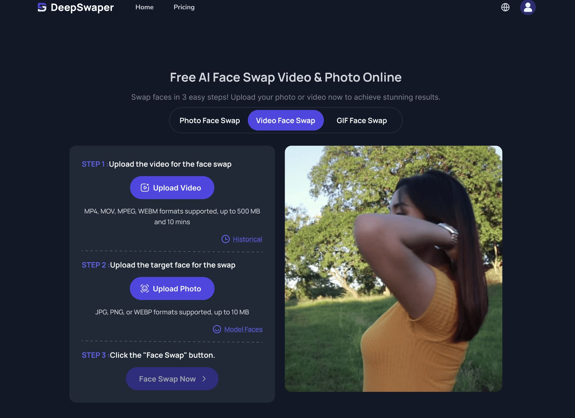 DeepSwaper AI Tool Interface