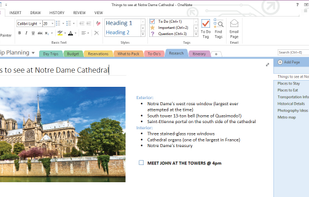 Microsoft OneNote screenshot 1