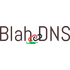 BlahDNS icon