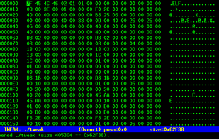 Tweak hex editor screenshot 1