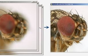 Individual images on the left, stacked result on the right.
