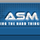 ASM icon