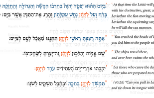 Viewing search results