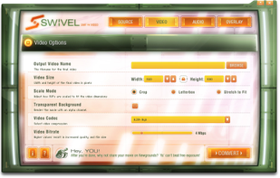 Video Options