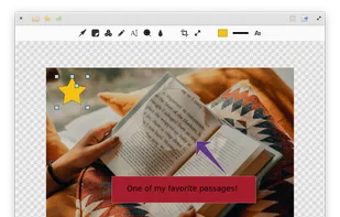 Annotator screenshot 1