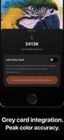 Cone Color Picker &amp; Identifier screenshot 2