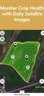 Monitor Crop Health with Daily Satellite Images