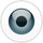 ESET Endpoint Security icon