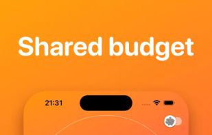 Today's Budget screenshot 1