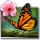 Season Zen Live Wallpaper icon
