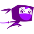 Screensaver Ninja icon
