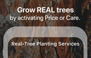 Flora - Green Focus screenshot 2